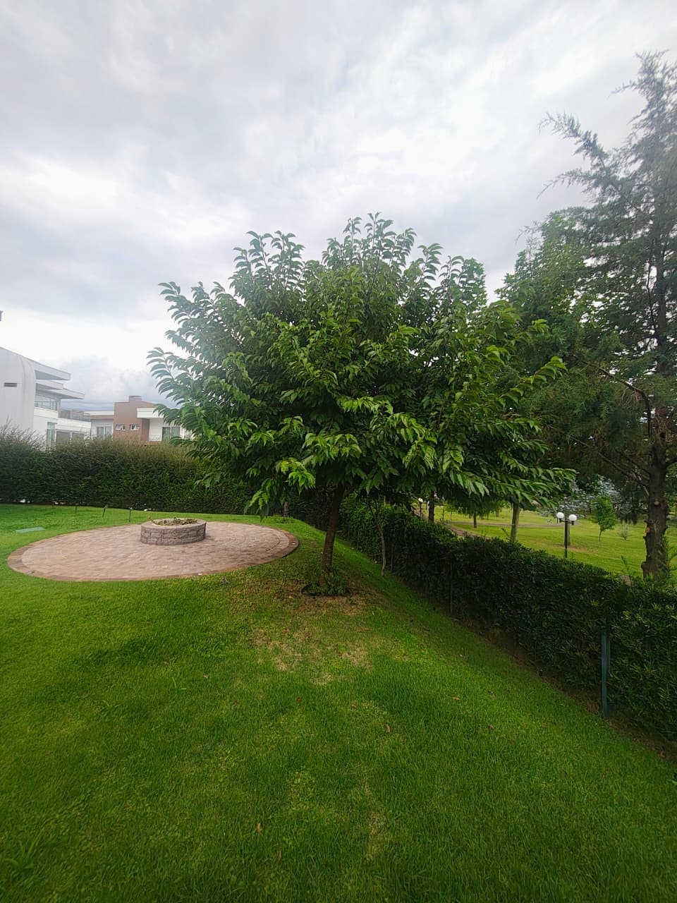 Jardim 4